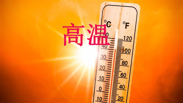 高温天,使用农药注意事项(图1) 高温天,使用农药注意事项(图1)