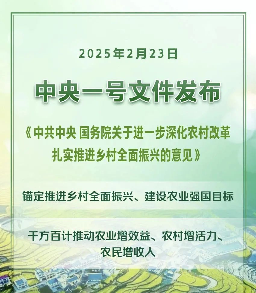 2025年中央一号文件(全文)(图1) 2025年中央一号文件(全文)(图1)